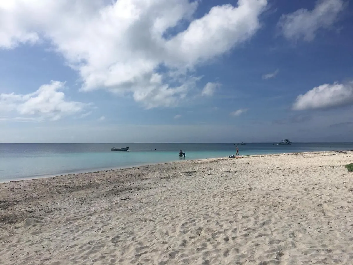 Luxury Apartment One Playa del Carmen Mexico